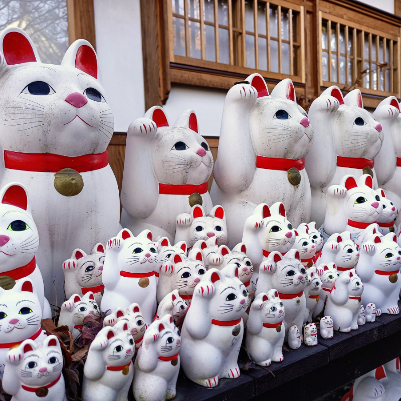 Alignement de nombreuses statues de maneki-neko blancs de différentes tailles, toutes levant une patte en signe de bienvenue, dans un temple japonais.