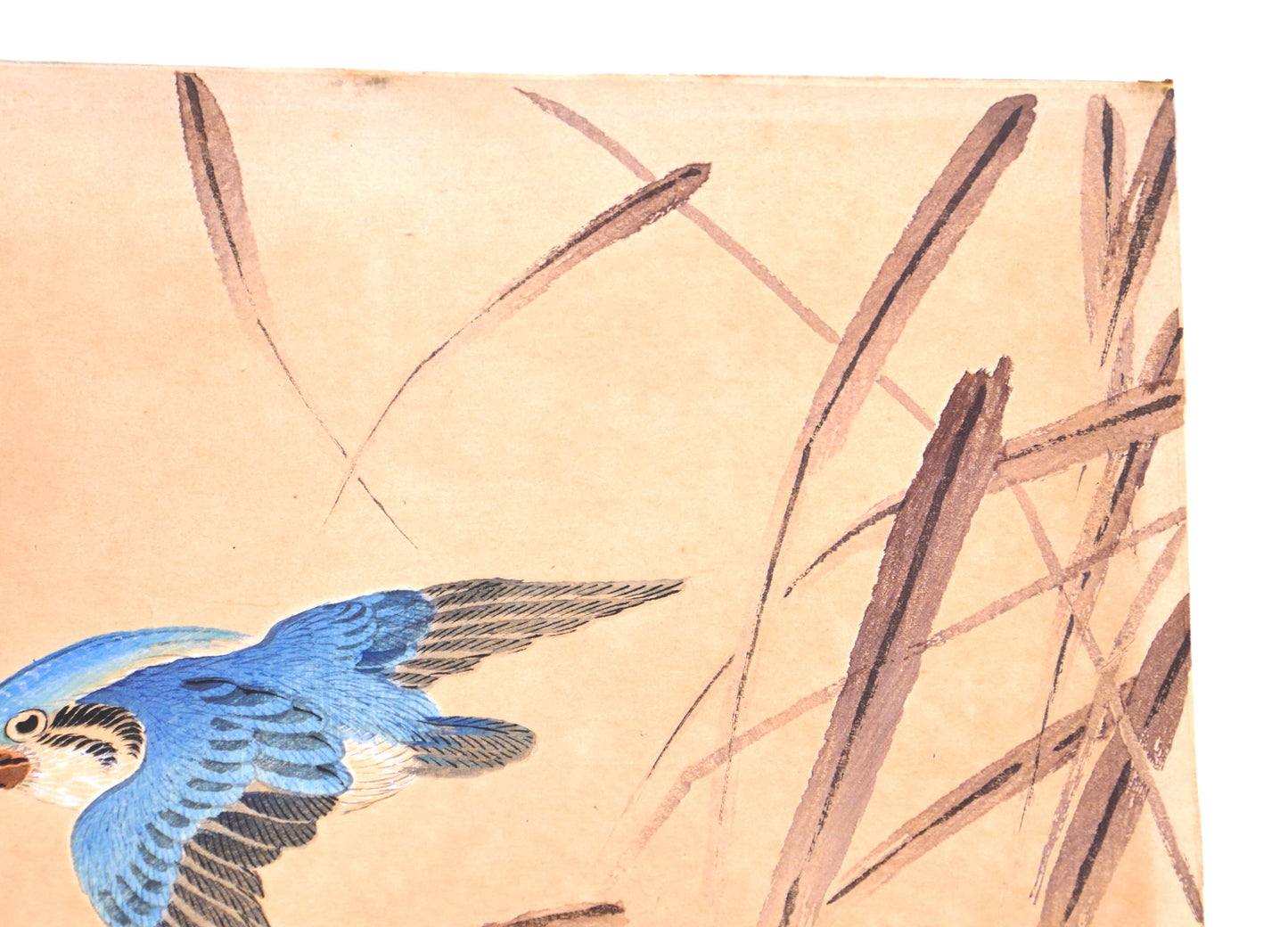 Détail des roseaux dans une estampe Meiji de Hirose Chikuseki représentant un martin-pêcheur.