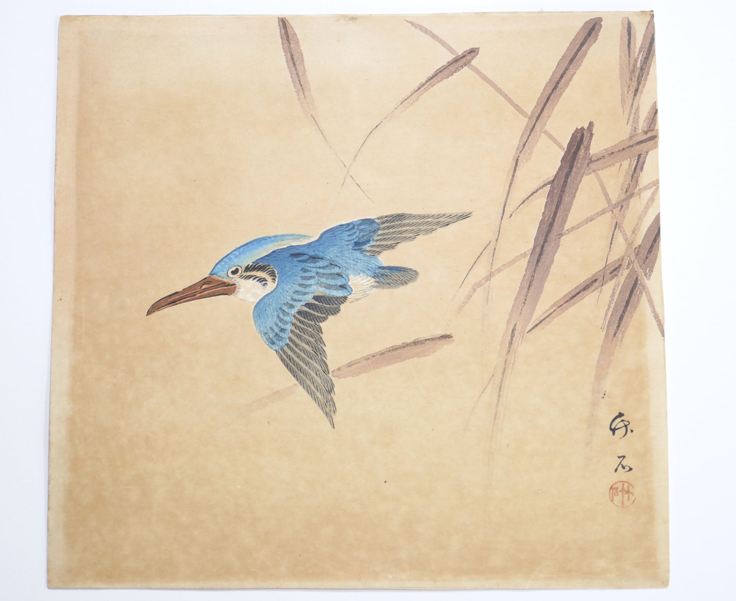 Estampe japonaise Meiji par Hirose Chikuseki représentant un martin-pêcheur en vol parmi des roseaux.