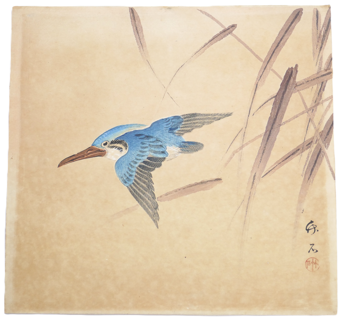 Détourage de l’estampe japonaise Meiji représentant un martin-pêcheur par Hirose Chikuseki.