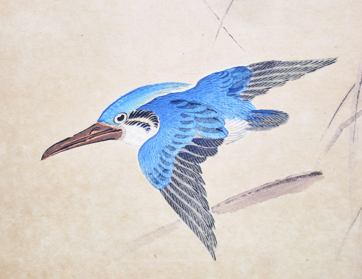 Gros plan du martin-pêcheur peint par Hirose Chikuseki dans une estampe de l’ère Meiji.