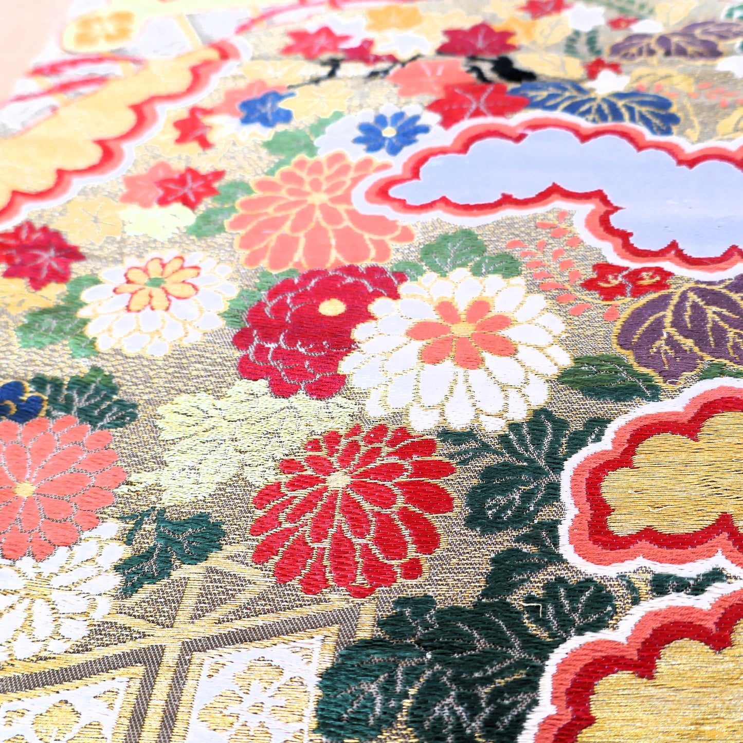 zoom sur les kiku chrysanthèmes du maru obi kogedo
