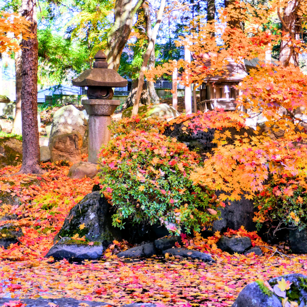 Feuilles d'érable japonais momiji dans un temple avec une lanterne japonaise, paysage d'automne