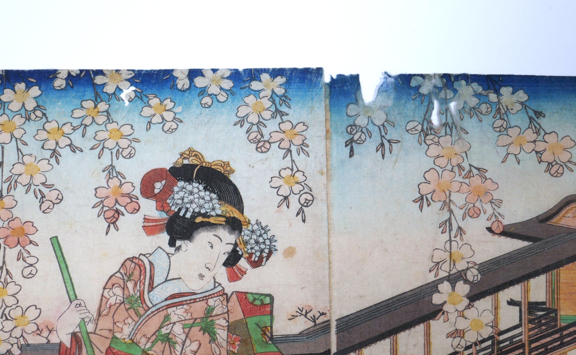 Portrait de femme en kimono sous les cerisiers dans une estampe japonaise de Yoshitora style bijin-ga scène de printemps