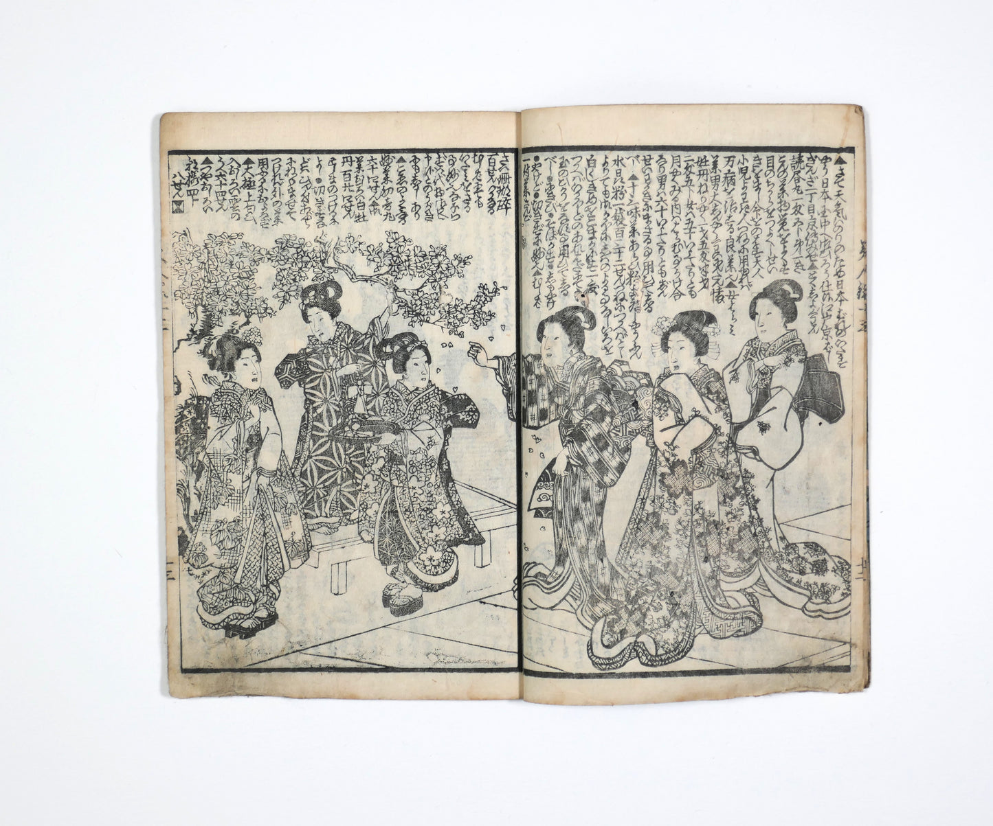 Femmes en kimono sous les fleurs de sakura dans Bijin-roku, estampe japonaise de livre illustré Edo, scène élégante de hanami.