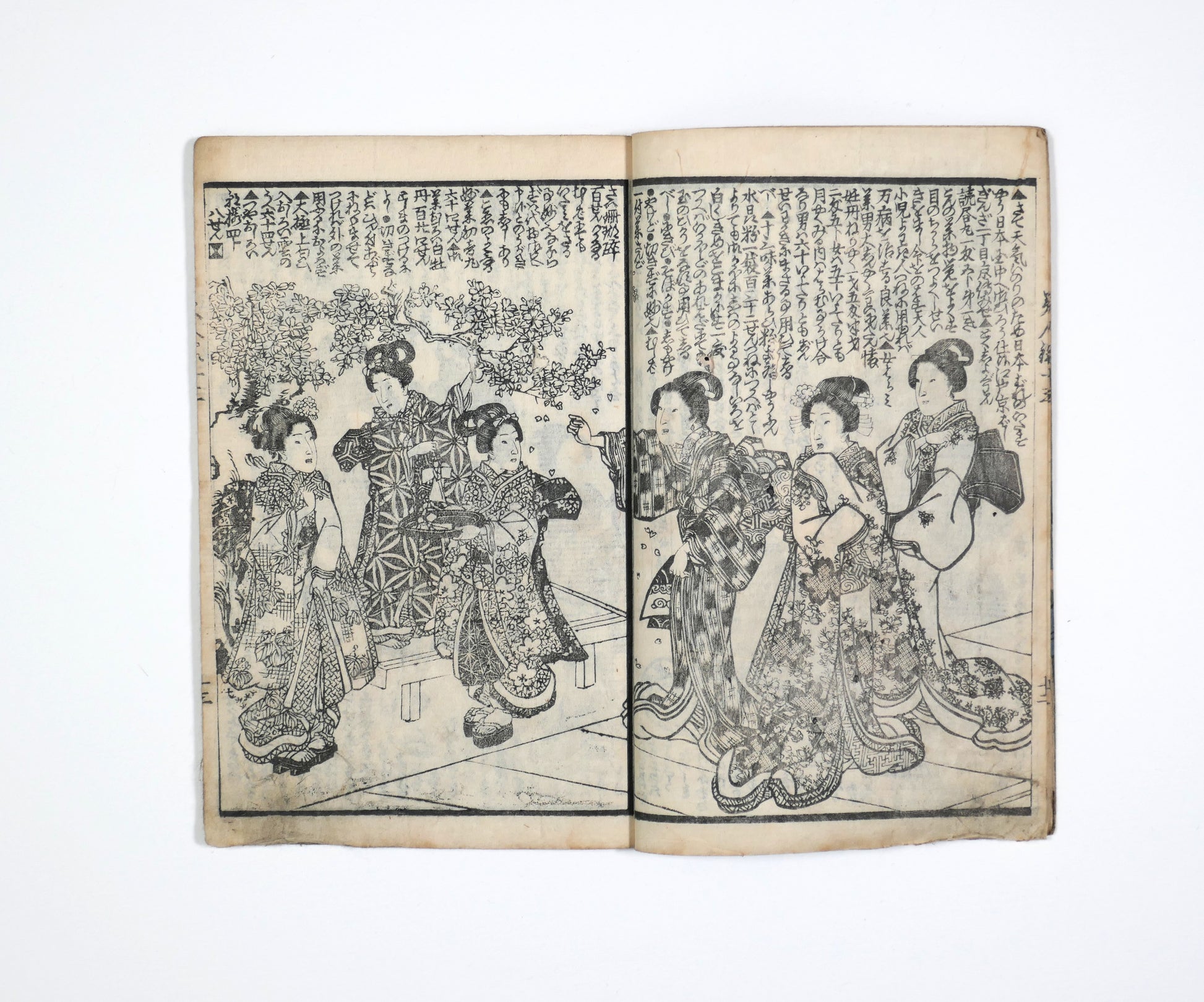 Femmes en kimono sous les fleurs de sakura dans Bijin-roku, estampe japonaise de livre illustré Edo, scène élégante de hanami.