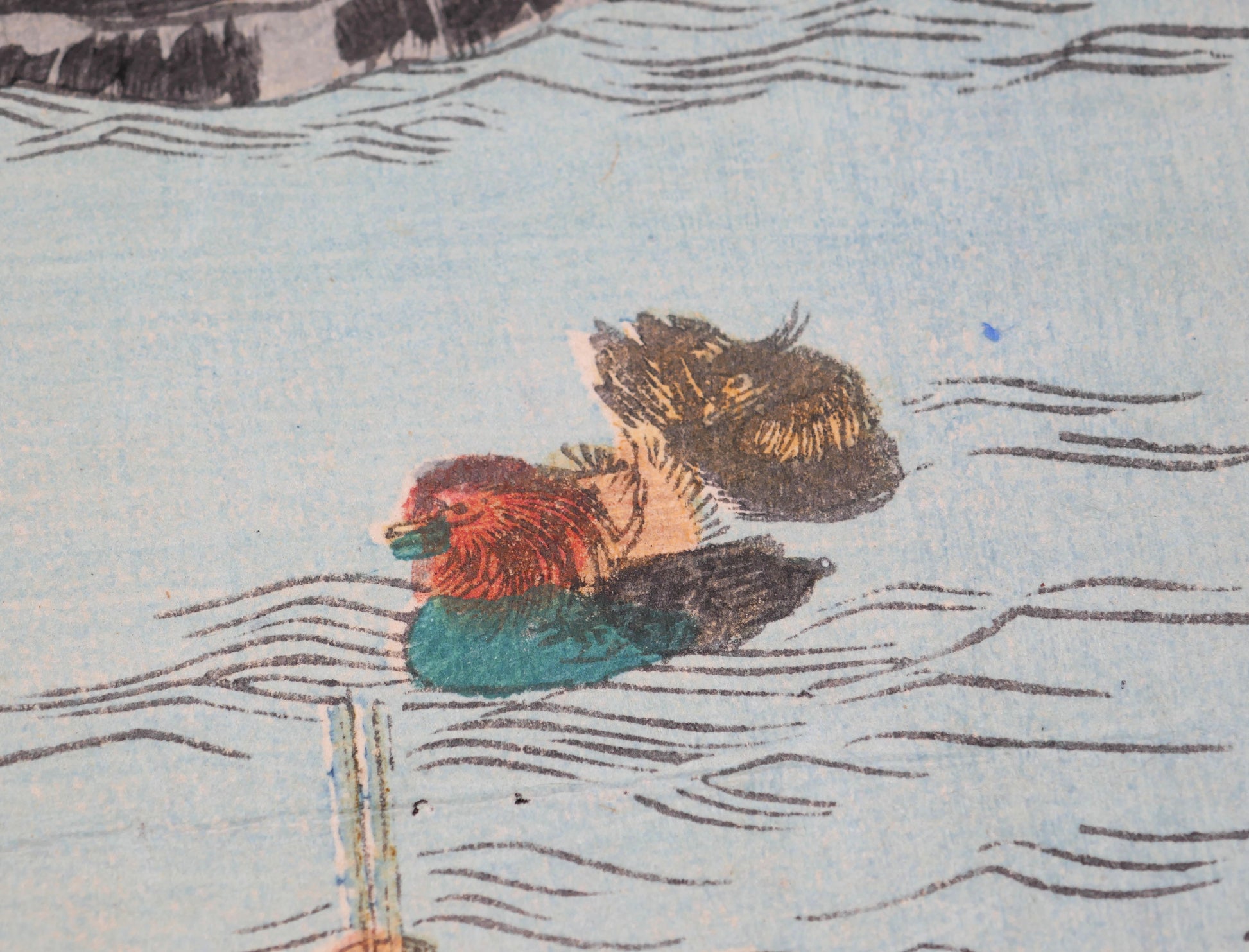 Couple de canards mandarins oshidori sur l’eau, détail de l’ukiyo-e de Toyokuni III