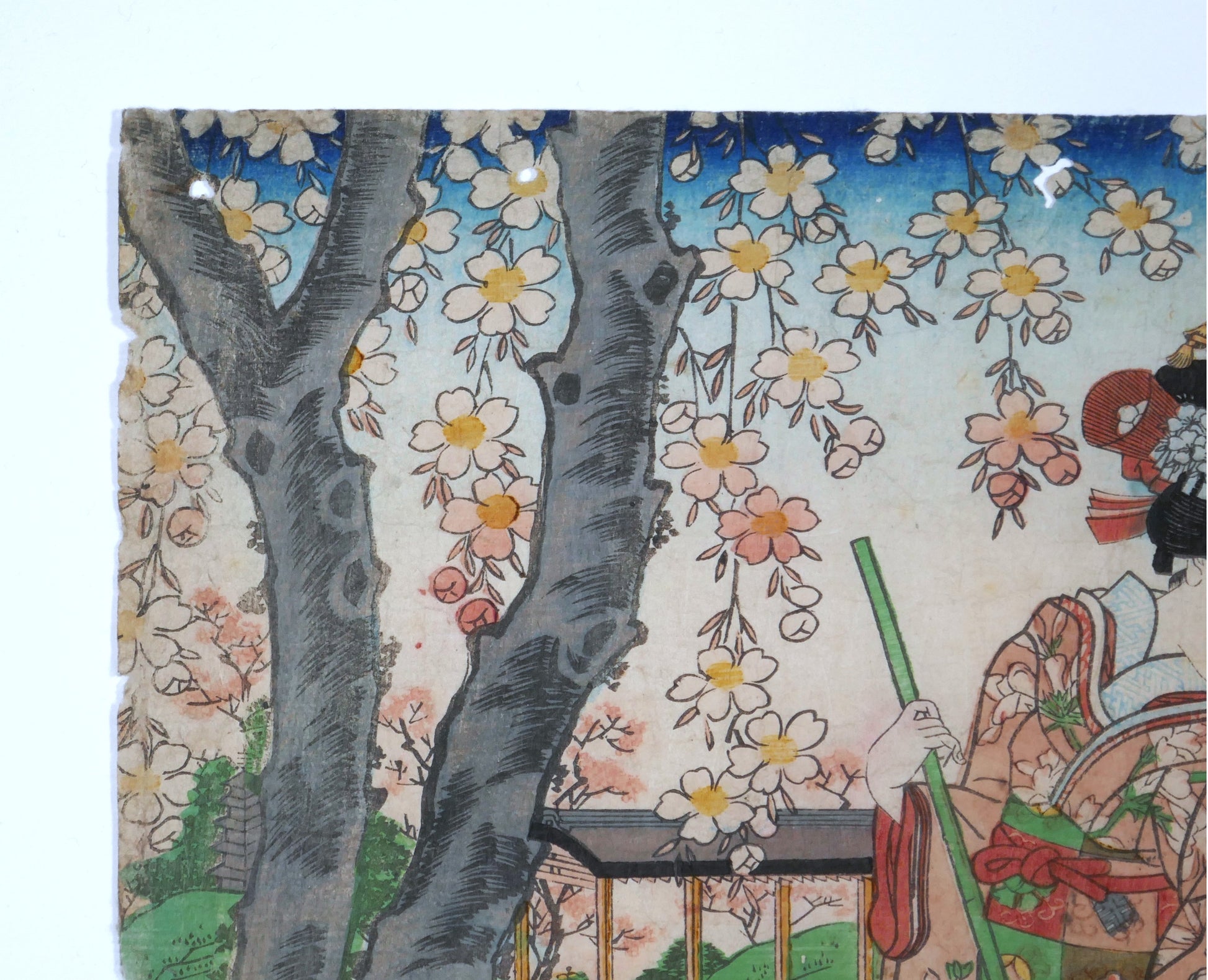 Branches de cerisier en fleurs dans une véritable estampe japonaise de Yoshitora illustrant le printemps et le hanami