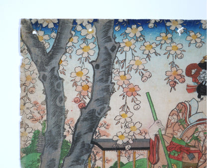 Branches de cerisier en fleurs dans une véritable estampe japonaise de Yoshitora illustrant le printemps et le hanami