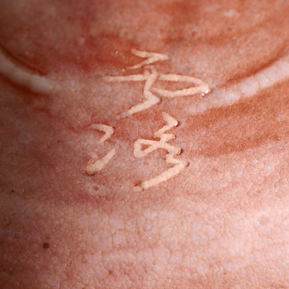 Chawan japonais signé à l’intérieur avec émail rose brillant et fines craquelures kanyū