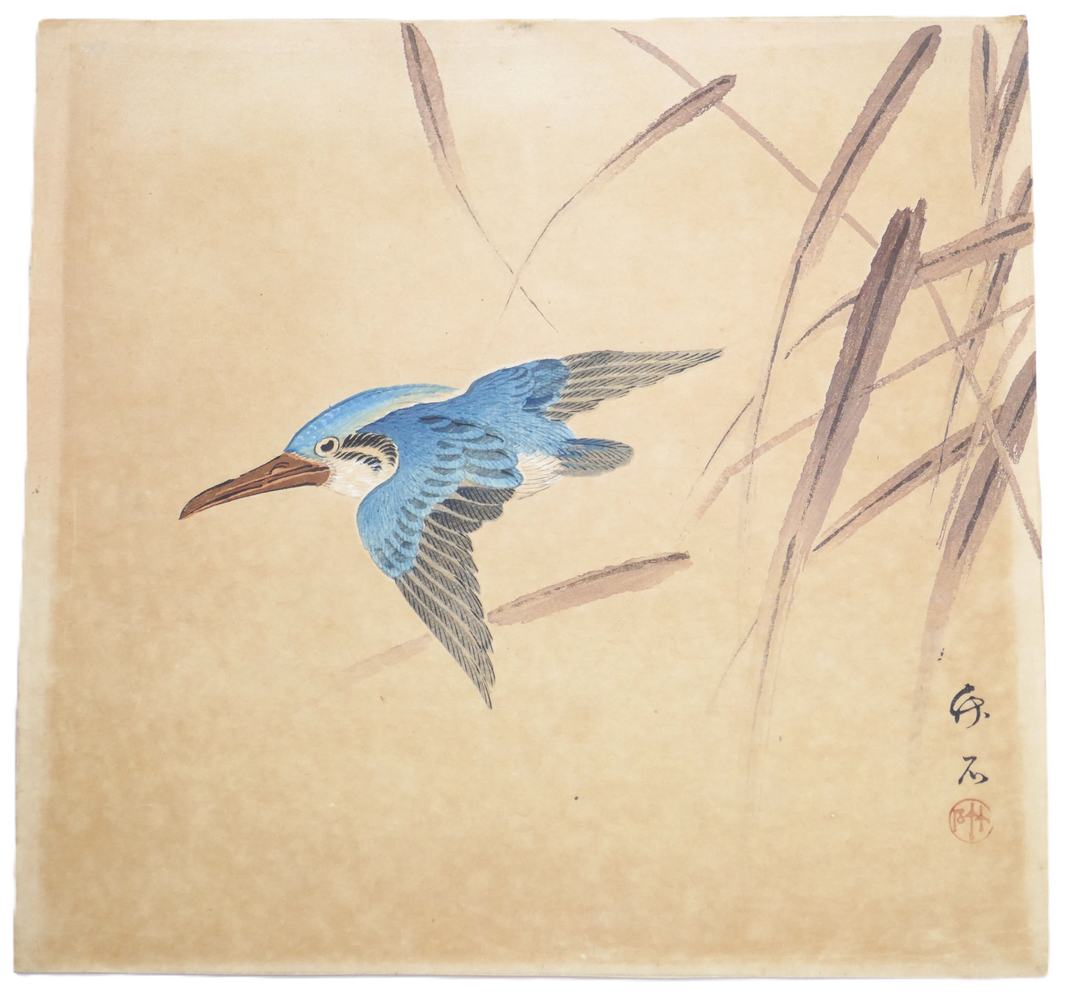 Détourage de l’estampe japonaise Meiji représentant un martin-pêcheur par Hirose Chikuseki.