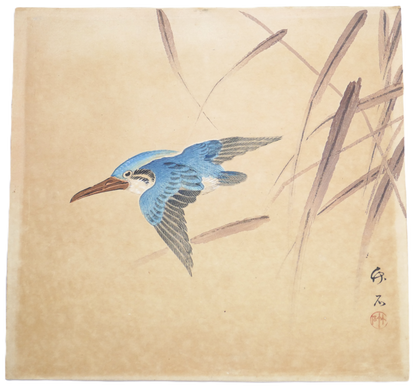 Détourage de l’estampe japonaise Meiji représentant un martin-pêcheur par Hirose Chikuseki.