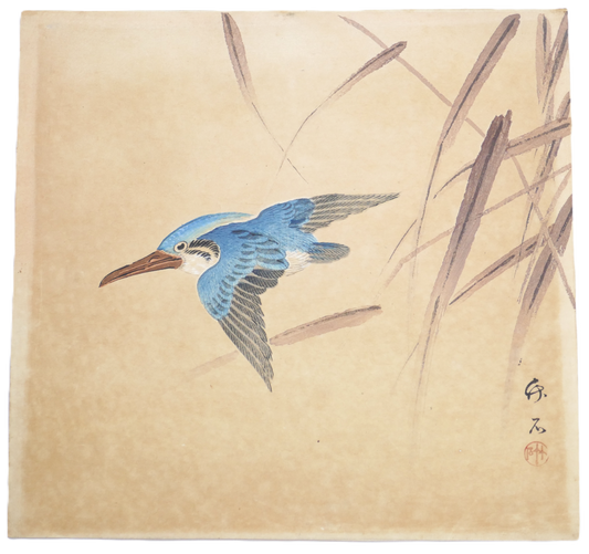 Détourage de l’estampe japonaise Meiji représentant un martin-pêcheur par Hirose Chikuseki.