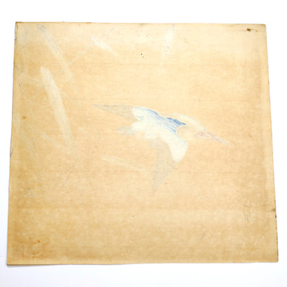 Verso de l’estampe japonaise Meiji de Hirose Chikuseki, montrant les pigments traversants.
